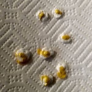 2 Busted Yulk Over Easy Miniature Toy Eggs